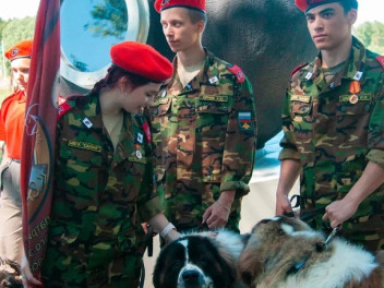 Младшие боевые товарищи