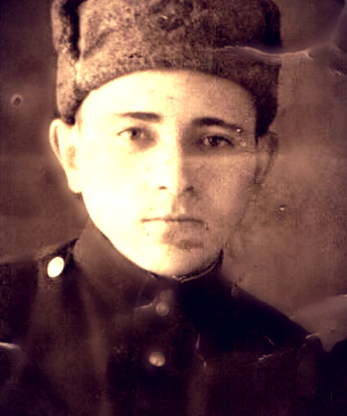 Мустафин Шамиль Мухаметьянович