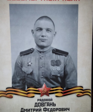Довгань Дмитрий Федорович