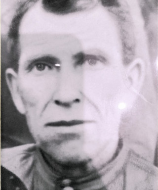 Дикий Владимир Парфилович