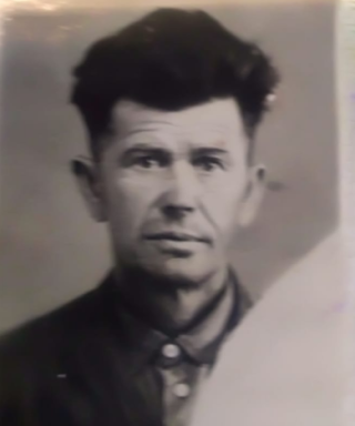 Гульшин Николай Васильевич