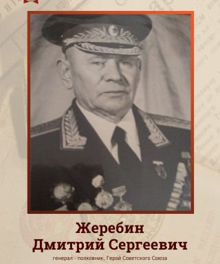 Жеребин Дмитрий Сергеевич