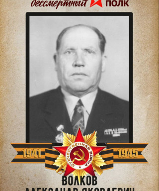 Волков Александр Яковлевич