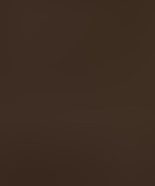 Афендиков Иона Григорьевич