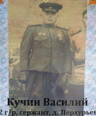 Кучин Василий Степанович