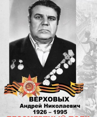 Верховых Андрей Николаевич