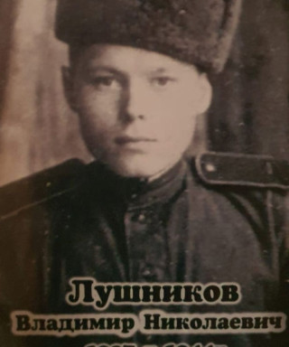 Лушников Владимир Николаевич