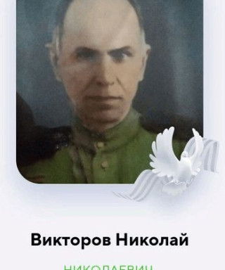 Викторов Николай Николаевич