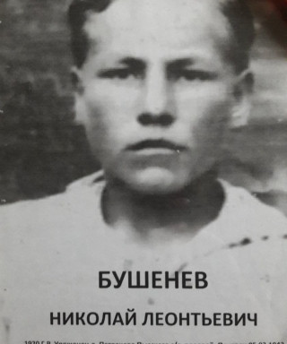 Бушенев Николай Леонтьевич