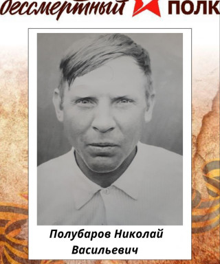 Полубаров Николай Васильевич