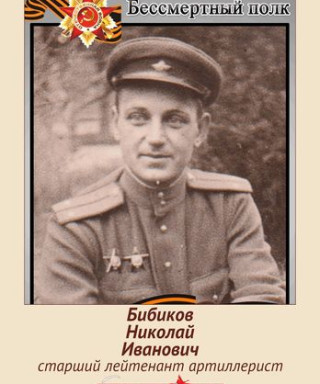 Бибиков Николай Иванович