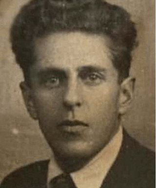 Гринфельд Эммануил Григорьевич