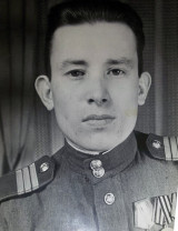 Никулин Василий Дмитриевич