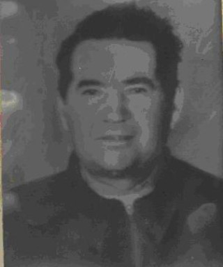 Мишенин Василий Николаевич