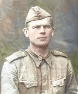 Лынник Михаил Владимирович