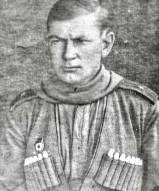 Дубровин Николай Петрович