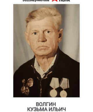 Волгин Кузьма Ильич
