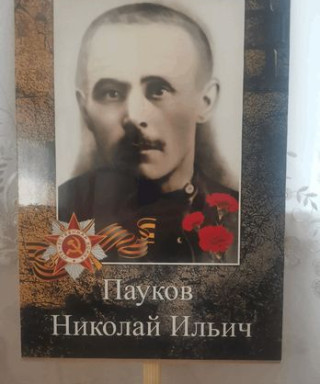 Пауков Николай Ильич