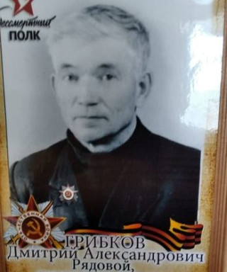 Грибков Дмитрий Александрович