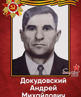 Докудовский Андрей Михайлович