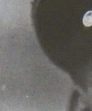 Моторичев Алексей Николаевич