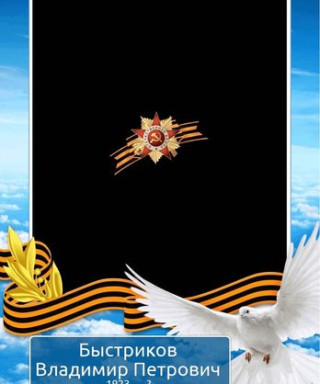 Быстриков Владимир Петрович