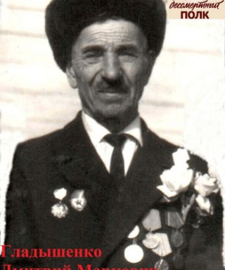 Гладышенко Дмитрий Маркович