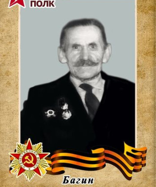 Багин Василий Харитонович