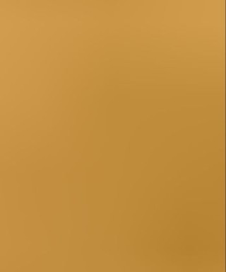 Вдовин Степан Петрович