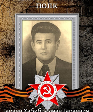 Гараев Хабибрахман Гараевич