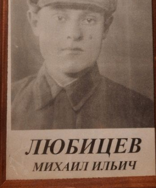 Любицев Михаил Ильич