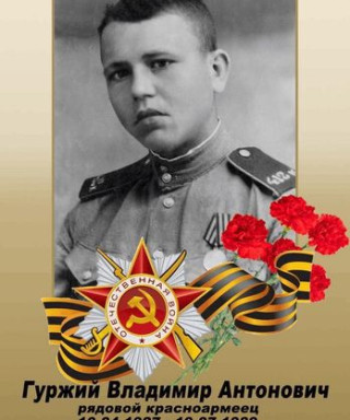 Гуржий Владимир Антонович