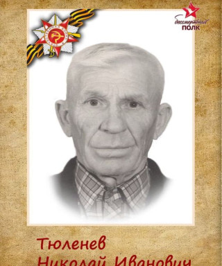 Тюленев Николай Иванович