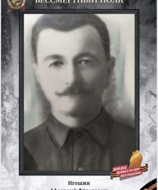 Игошин Афанасий Федорович