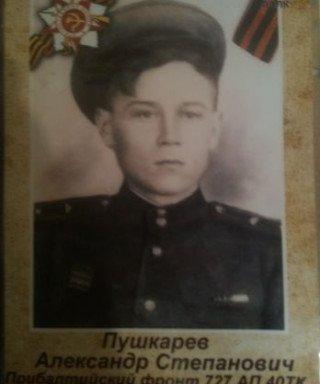 Пушкарёв Александр Степанович