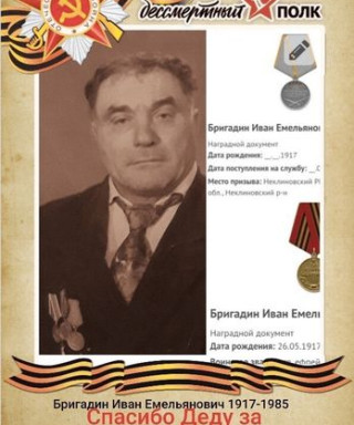 Бригадин Иван Емельянович