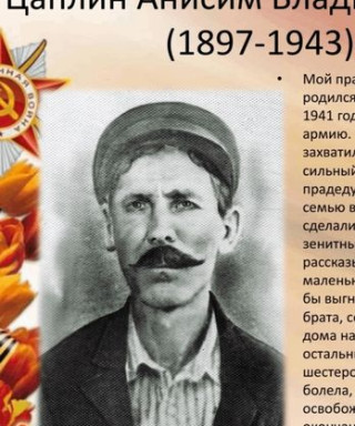 Цаплин Анисим Владимирович