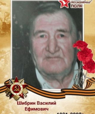 Шибрин Василий Ефимович
