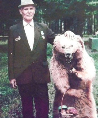 Березовский Владимир Иосифович