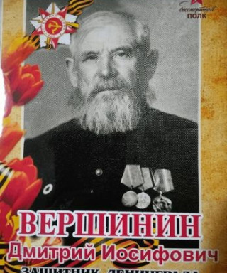 Вершинин Дмитрий Иосифович