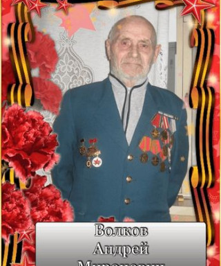 Волков Андрей Миронович