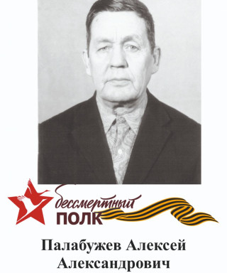 Палабужев Алексей Александрович