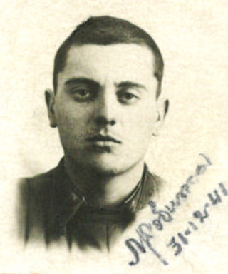 Добижа Михаил Константинович