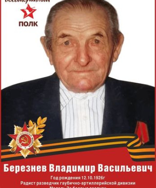 Березнев Владимир Васильевич