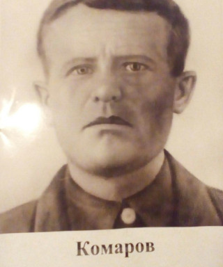 Комаров Ефим Давыдович