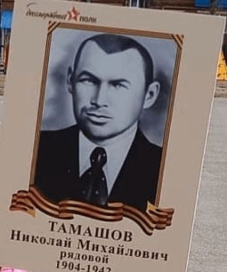 Тамашов Николай Михайлович