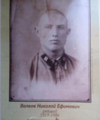 Волков Николай Ефимович