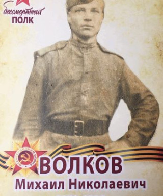 Волков Михаил Николаевич