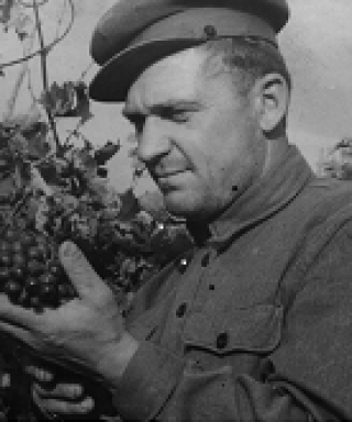 Ефросиненко Андрей Яковлевич