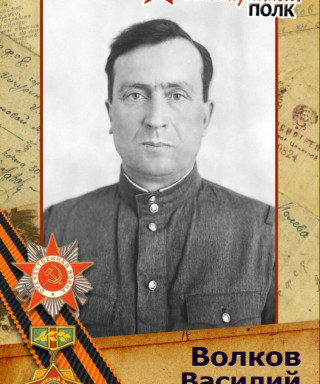 Волков Василий Петрович